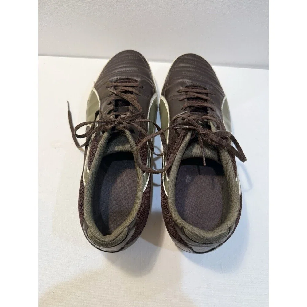 Puma momentta vulc